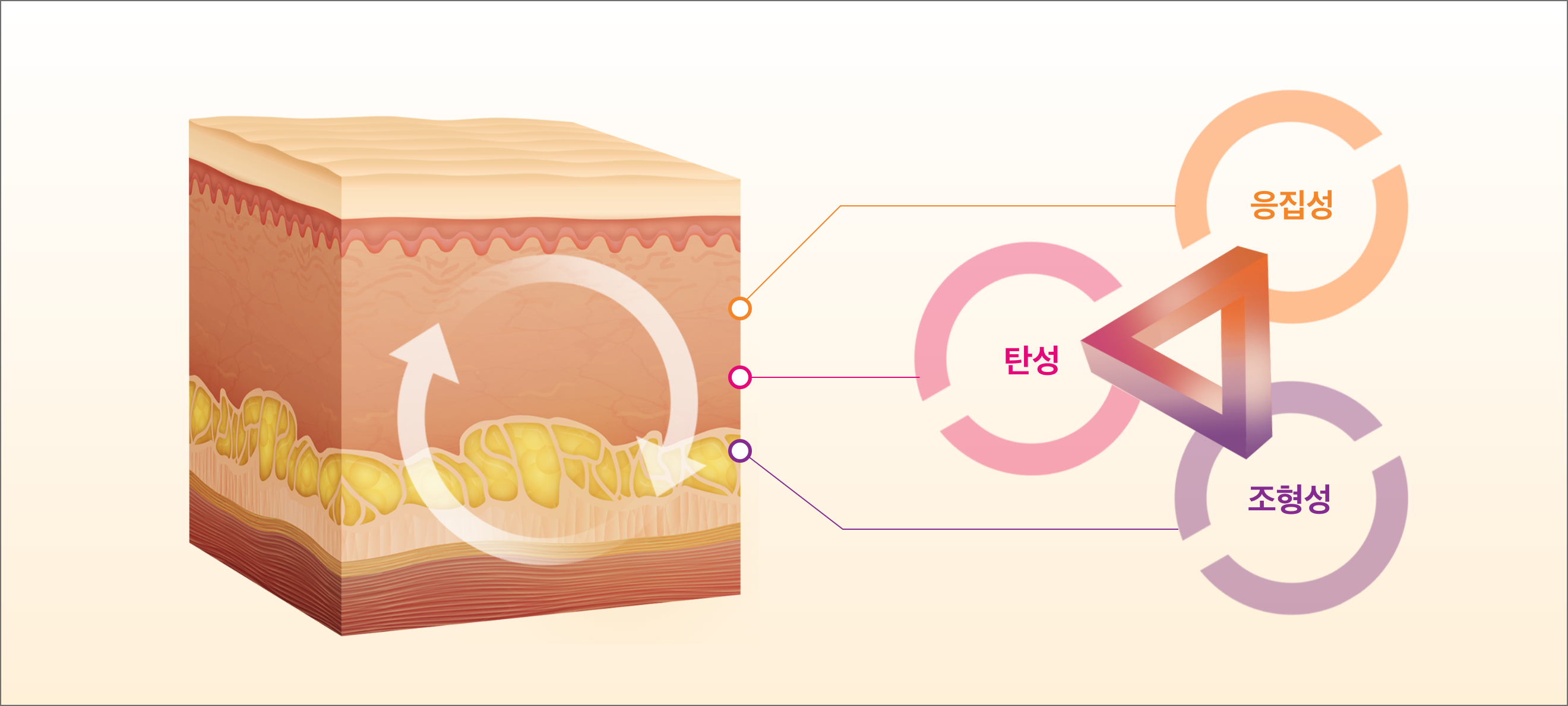 skin_integration