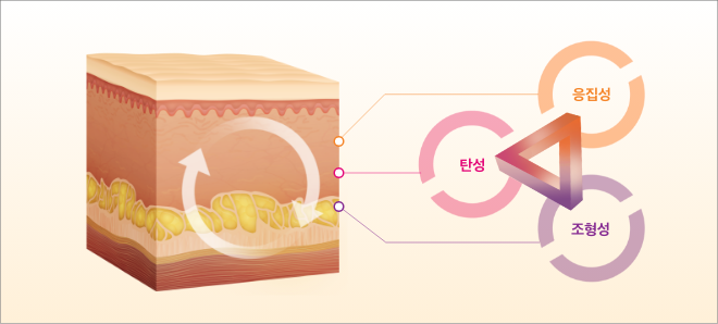 skin_integration