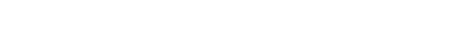 스킨, 코어부터 채우다 레디어스