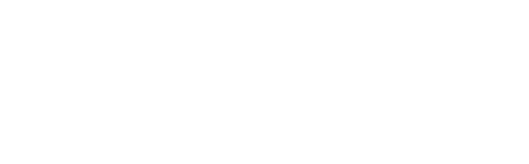 스킨, 코어부터 채우다 레디어스